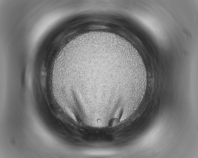 X0000111371151200908071209
