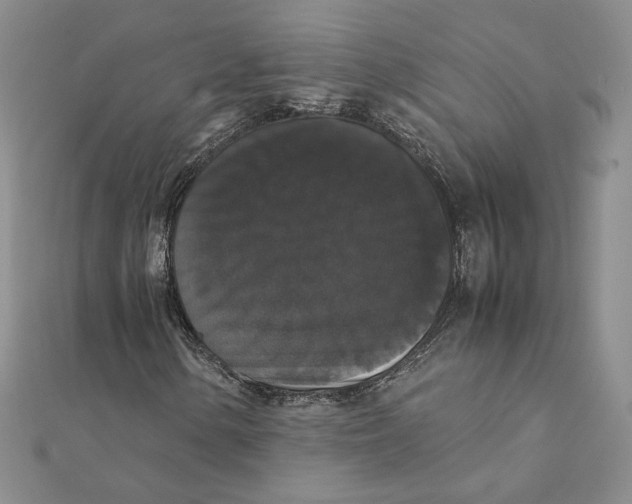 X0000111371154200908071208