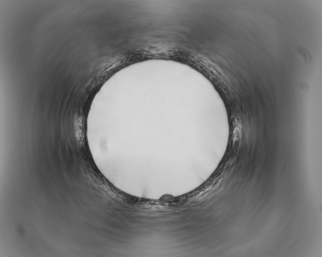 X0000111371156200908071208