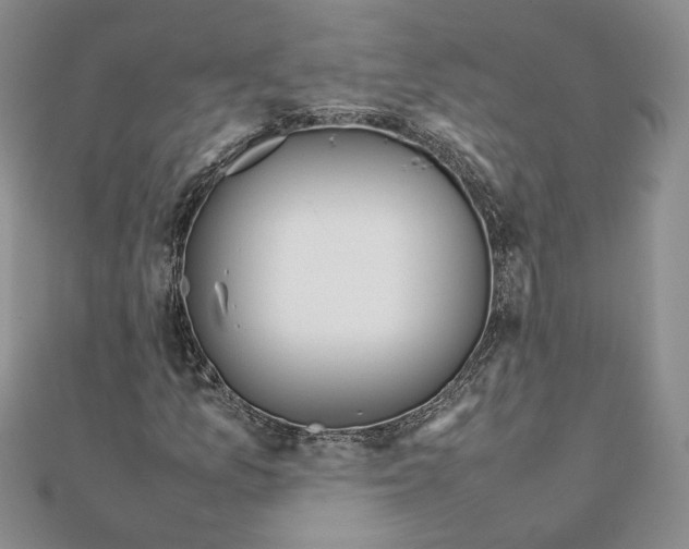 X0000111371157200908071208
