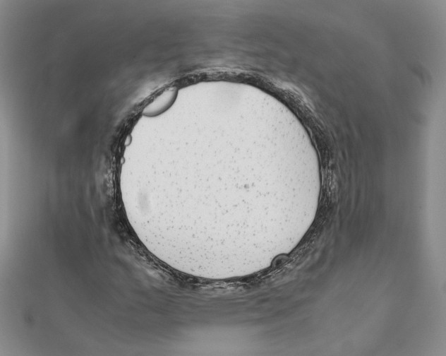 X0000111371159200908071208