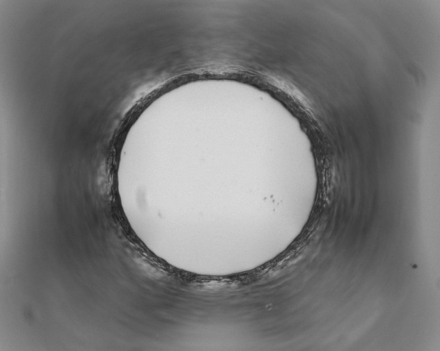 X0000111371160200908071208