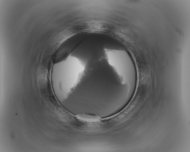 X0000111371161200908071208