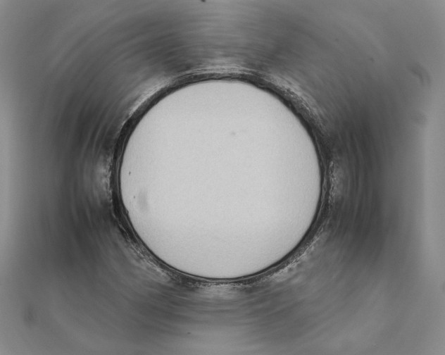 X0000111371162200908071208