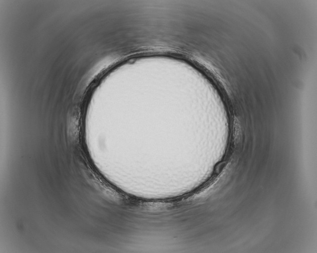 X0000111371163200908071208