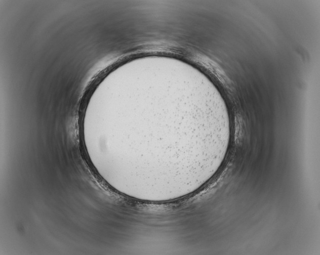 X0000111371164200908071208
