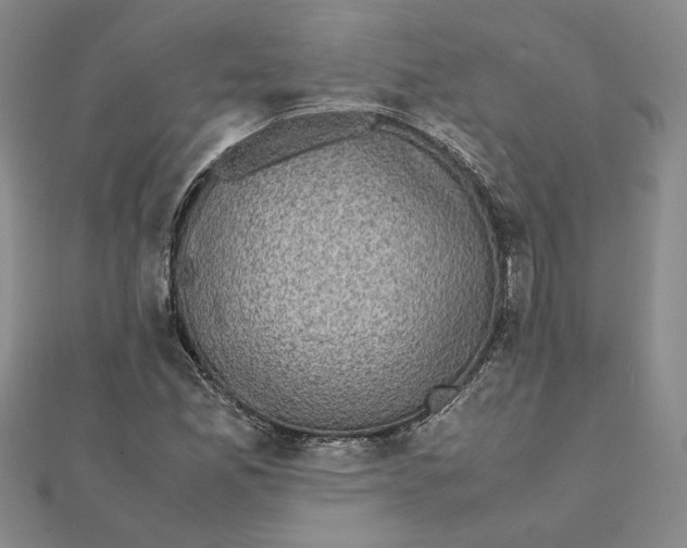 X0000111371165200908071208