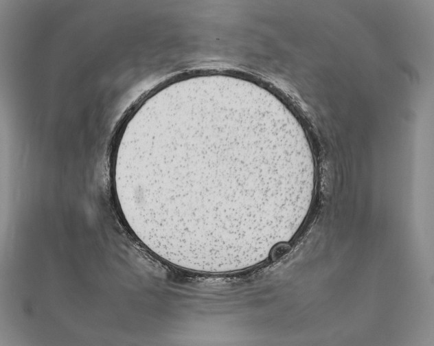 X0000111371167200908071208