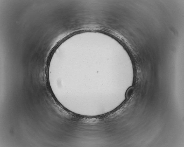 X0000111371168200908071208