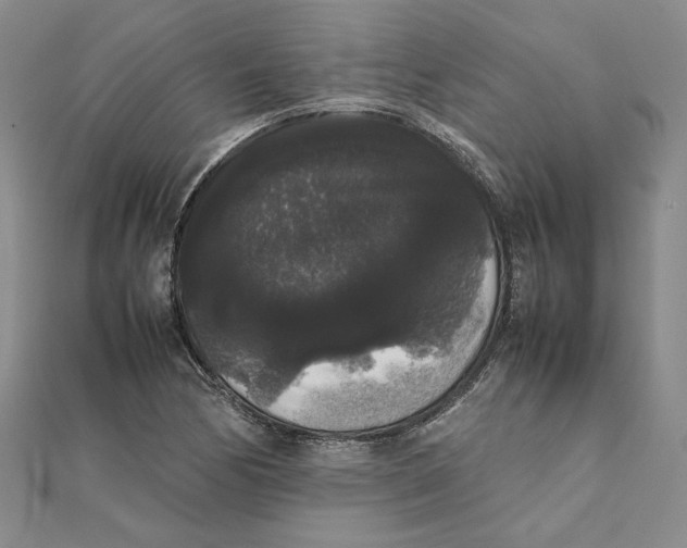 X0000111371170200908071208