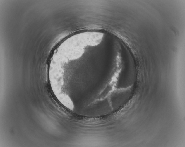 X0000111371171200908071208