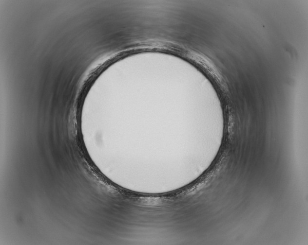 X0000111371172200908071208