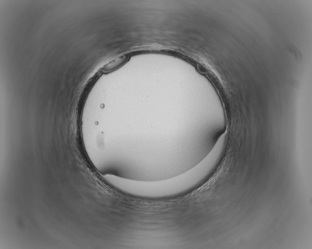 X0000111371173200908071208