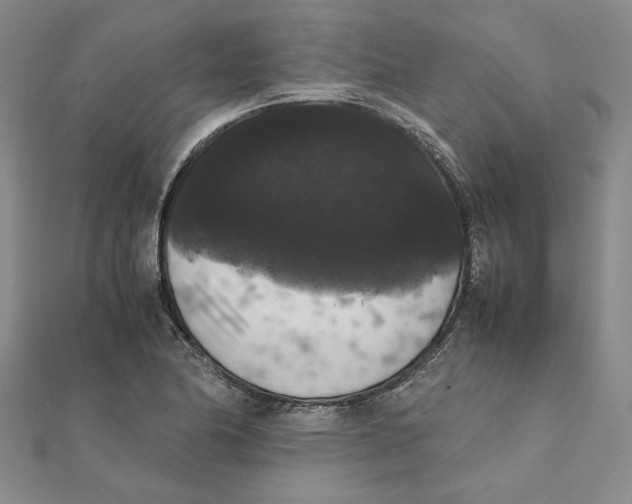 X0000111371174200908071208