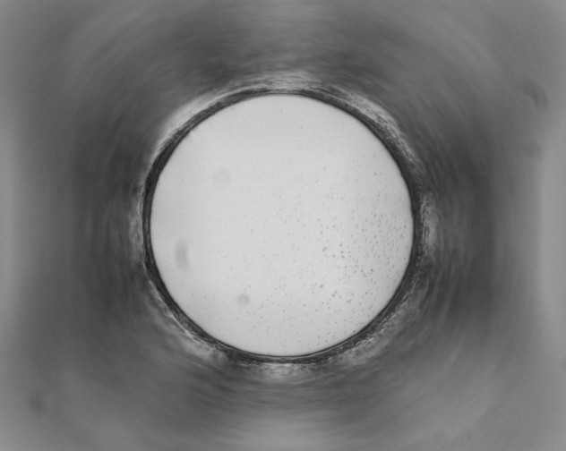 X0000111371176200908071208