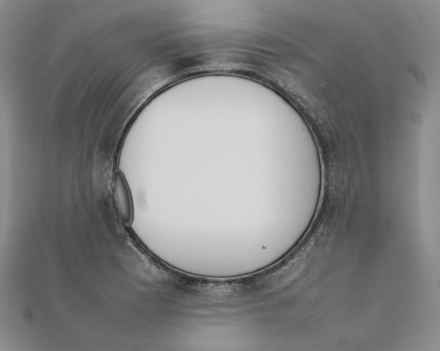 X0000111371177200908071208