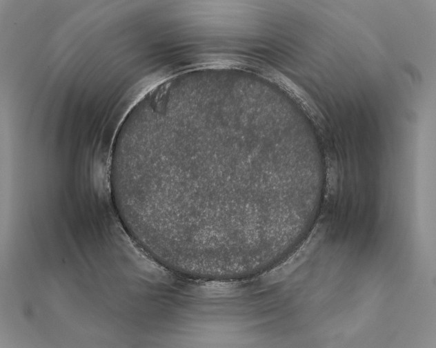 X0000111371178200908071208