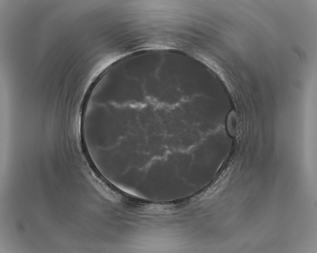 X0000111371179200908071208