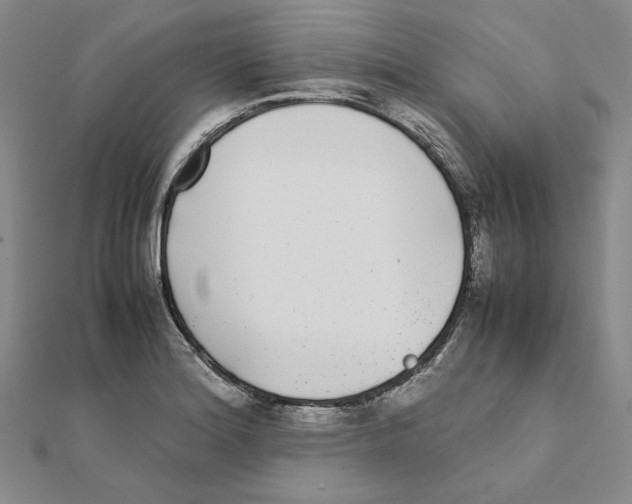 X0000111371180200908071208