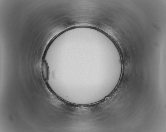 X0000111371181200908071208