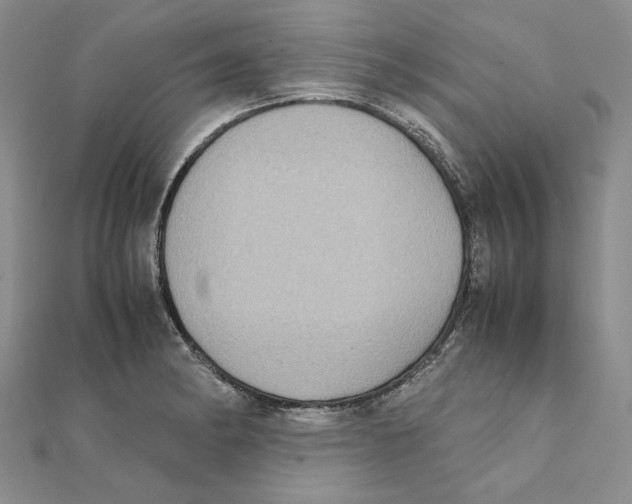 X0000111371182200908071208