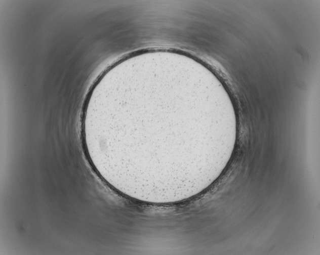 X0000111371183200908071208