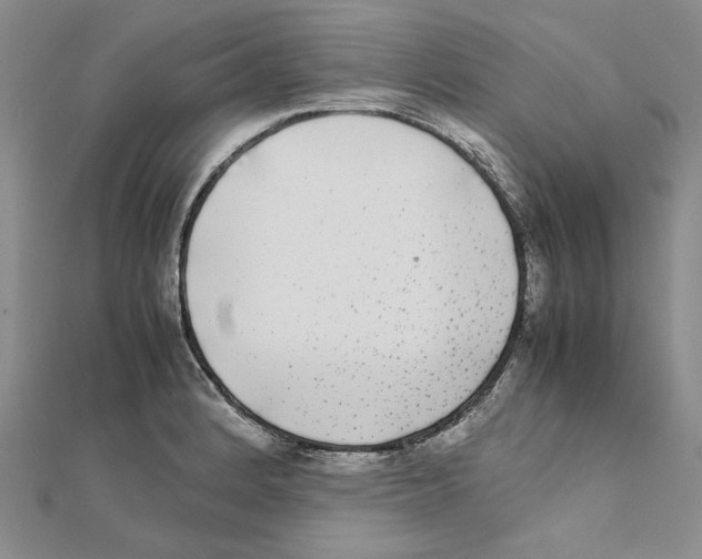 X0000111371184200908071208