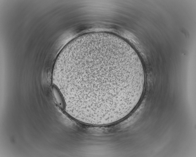 X0000111371185200908071208
