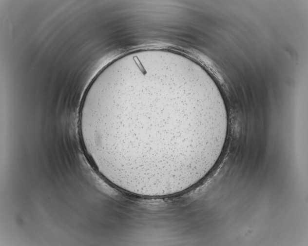 X0000111371186200908071208