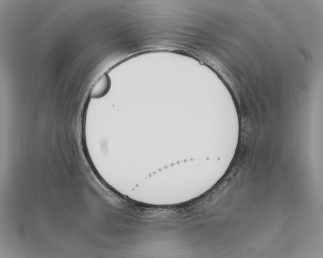 X0000111371187200908071208