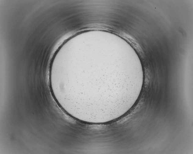 X0000111371188200908071208