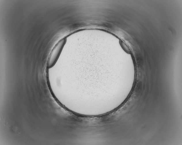 X0000111371189200908071208
