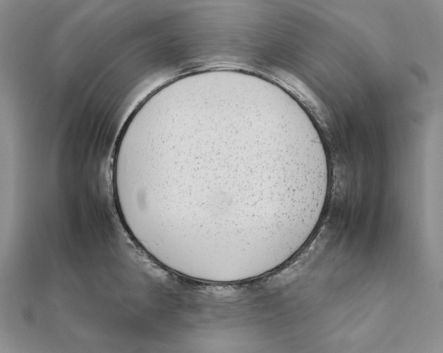 X0000111371190200908071208