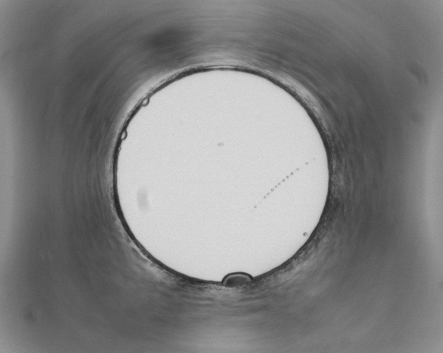 X0000111371191200908071208