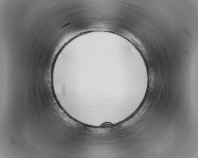 X0000111371192200908071208