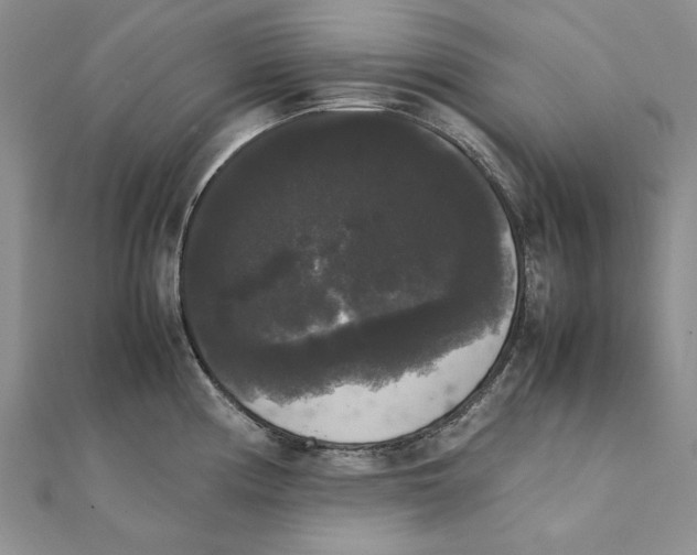 X0000111371194200908071208