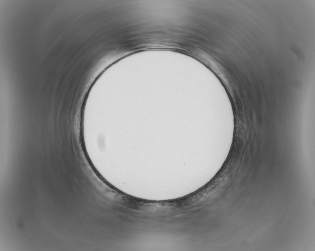 X0000111371195200908071208