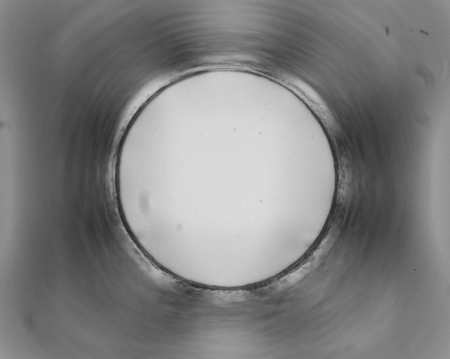 X0000111371196200908071208