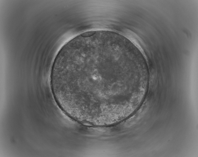 X0000111371197200908071208