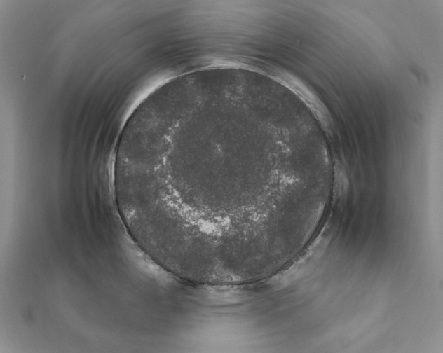 X0000111371198200908071207