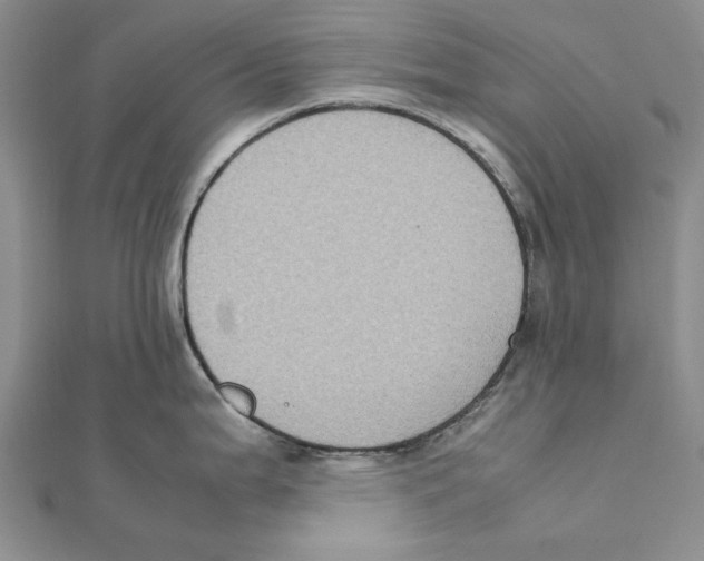 X0000111371199200908071207