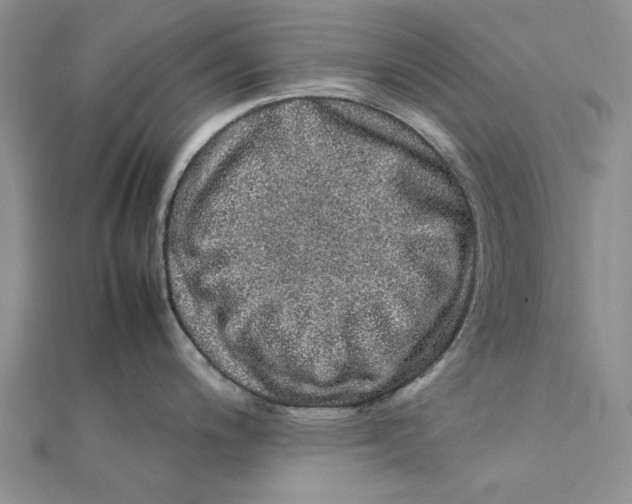 X0000111371200200908071207