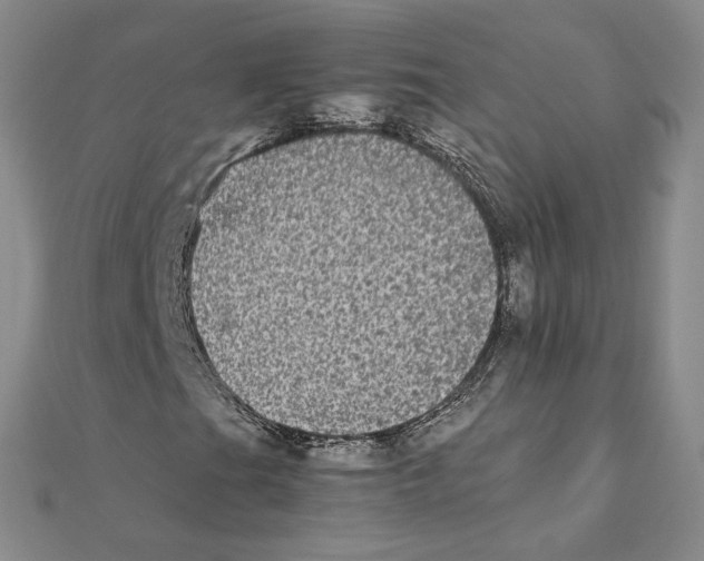 X0000111371201200908071207
