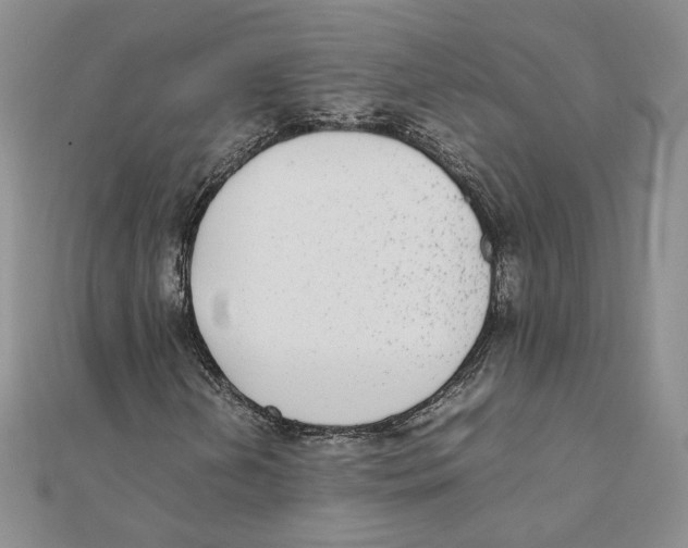 X0000111371202200908071207