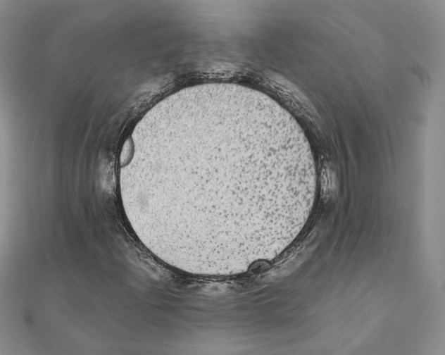 X0000111371204200908071207