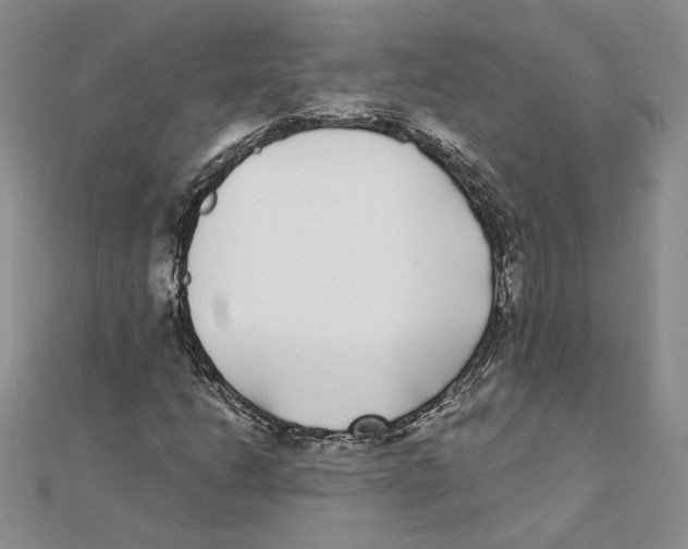 X0000111371206200908071207