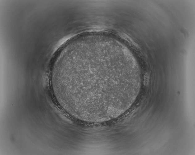 X0000111371208200908071207