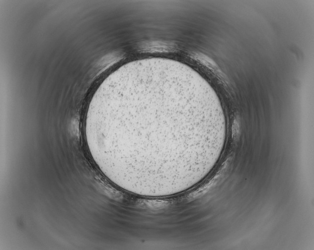 X0000111371209200908071207