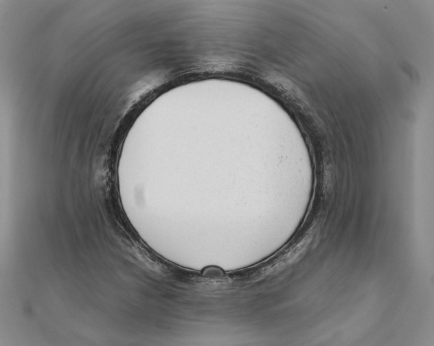 X0000111371210200908071207