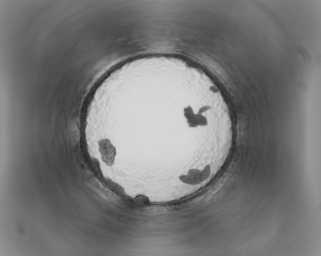 X0000111371212200908071207